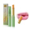 Healthy Shop Natural Lip Treatment (Ginseng Extract)-3.5g