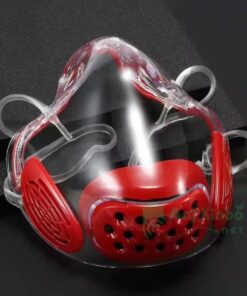 Anti-Fog Transparent Face Shield and Clarity Face Mask for Adult